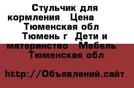 Стульчик для кормления › Цена ­ 900 - Тюменская обл., Тюмень г. Дети и материнство » Мебель   . Тюменская обл.